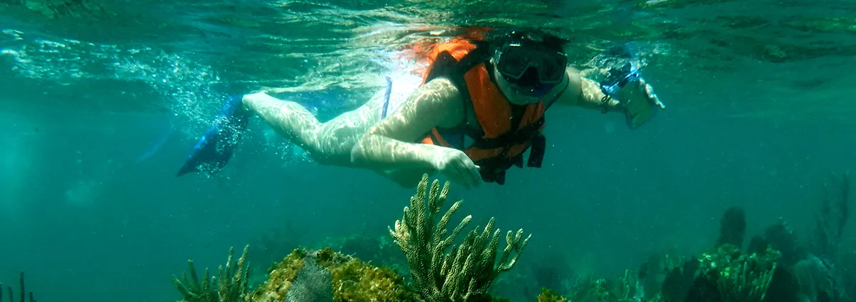 oceanix