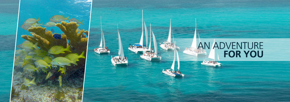 oceanix
