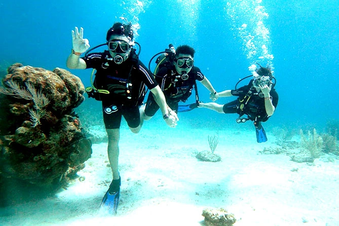Scuba Diving en Cancún para Principiantes