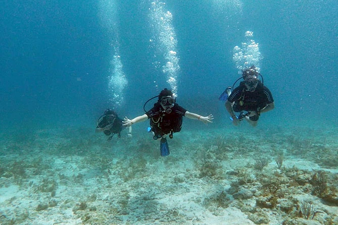 Scuba Diving en Cancún para Principiantes